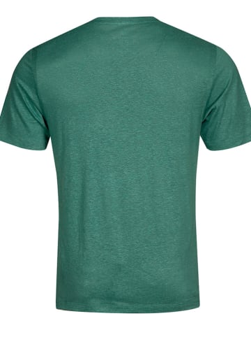 Halti Koszulka "Alanko" w kolorze zielonym