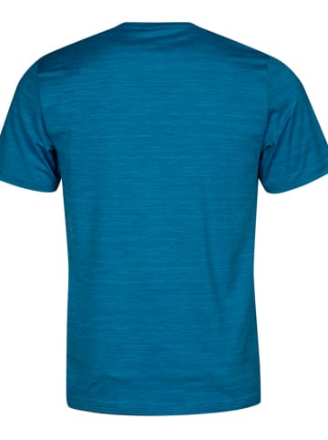 Halti Koszulka funkcyjna "Fall" w kolorze niebieskim
