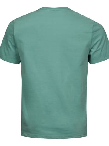 Halti Shirt "Matka" in Grün