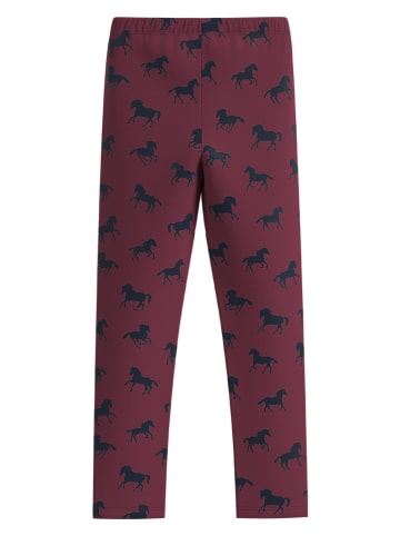 s.Oliver Legging pruimkleurig/donkerblauw