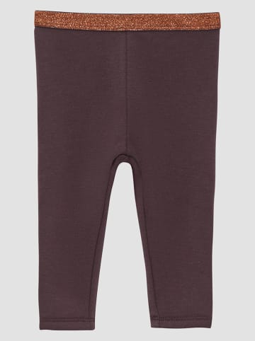 s.Oliver Leggings in Pflaume