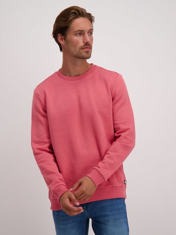Cars Jeans Sweatshirt "Kreyam" in Pink