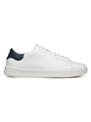 Geox Leder-Sneakers "Velletri" in Weiß