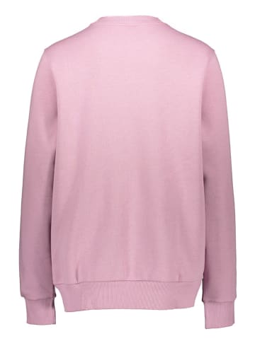 Reebok Sweatshirt "Vector Graphic" in Rosa