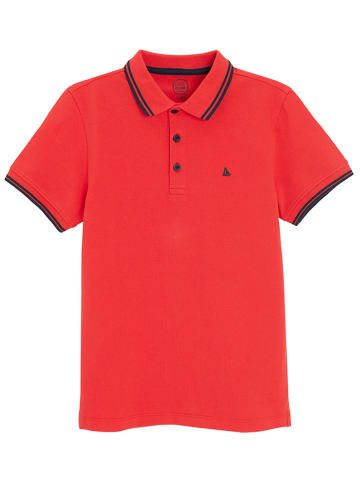 COOL CLUB Koszulka polo w kolorze czerwonym