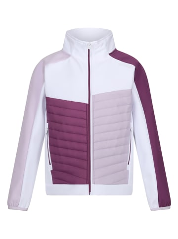 Regatta Softshelljacke "Brynden" in Lila in Lila