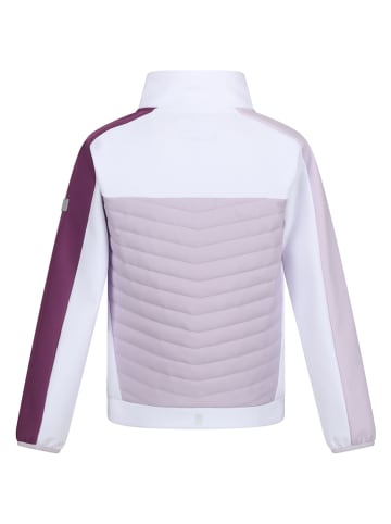 Regatta Softshelljacke "Brynden" in Lila in Lila