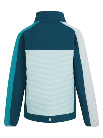 Regatta Softshelljacke "Brynden" in Blau/ Türkis in Blau/ Türkis