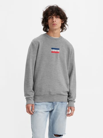 Levi´s Sweatshirt in Grau