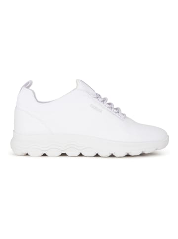 Geox Sneakers in Weiß