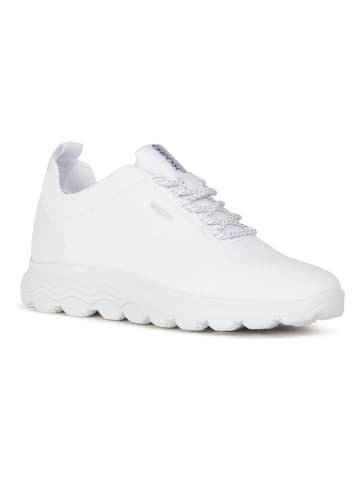 Geox Sneakersy w kolorze białym