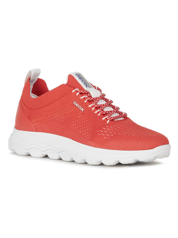 Geox Sneakersy w kolorze czerwonym