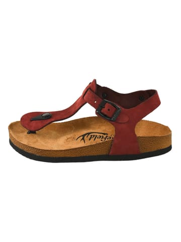 Moosefield Leder-Zehensandalen in Bordeaux