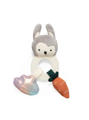 Sebra Rammelaar "Siggy the rabbit" - vanaf de geboorte