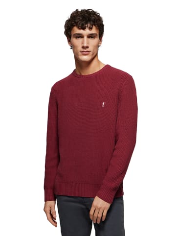 Polo Club Pullover in Rot