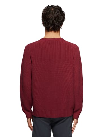 Polo Club Trui rood