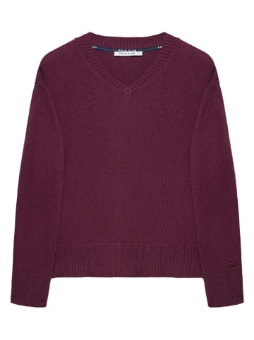 Polo Club Pullover in Aubergine