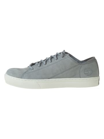 Timberland Leder-Sneakers "Griffin" in Grau