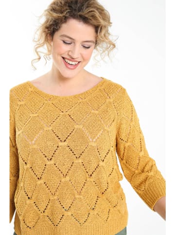 Paprika Pullover in Gelb