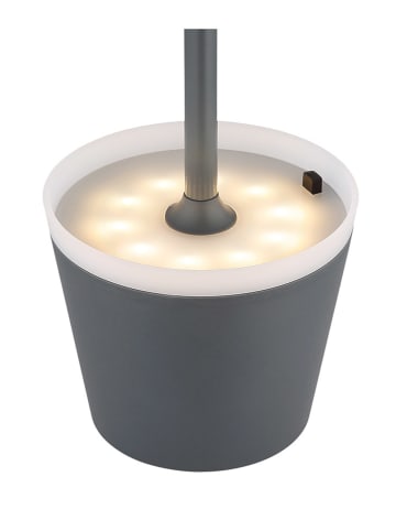 Globo lighting LED-Solarleuchte in Anthrazit - (H)41 x Ø 11 cm