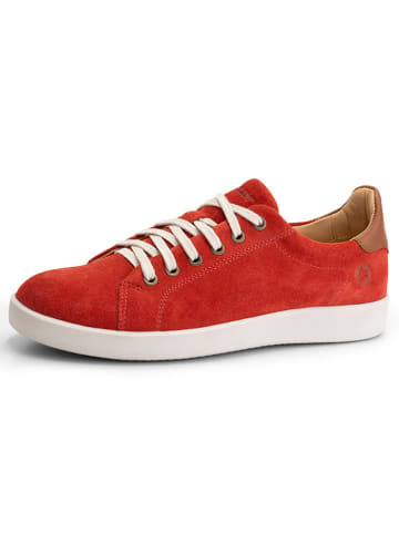 TRAVELIN' Leren sneakers "Metz" rood