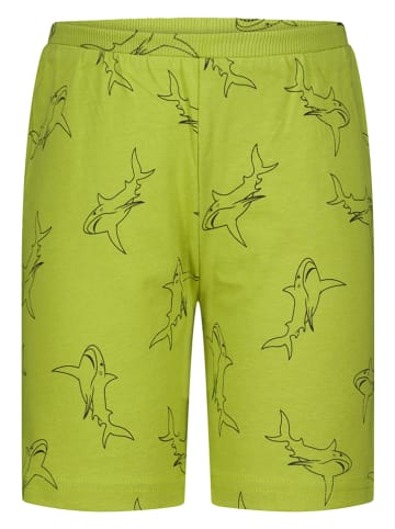 Topo Shorts in Grün