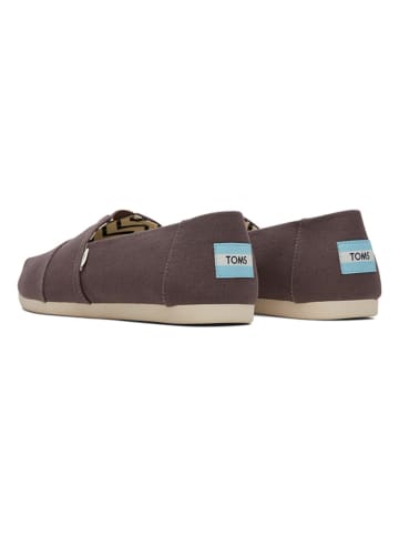 TOMS Slipper in Braun