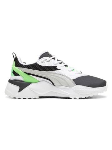 Puma Buty "GS-X Efekt" w kolorze zielono-czarno-białym do golfa