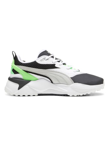 Puma Golfschuhe "GS-X Efekt" in Grün/ Schwarz/ Weiß