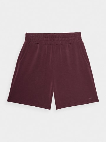 4F Shorts in Braun