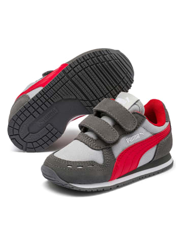 Puma Sneakers "Cabana Racer NL V Inf" in Grau/ Rot