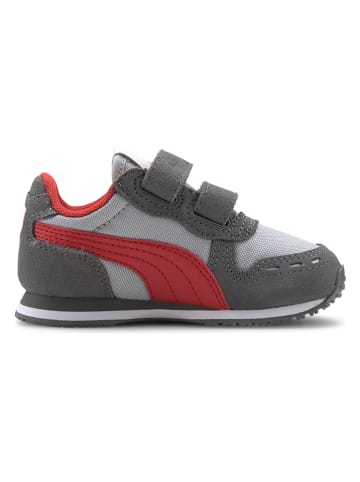 Puma Sneakers "Cabana Racer NL V Inf" grijs/rood