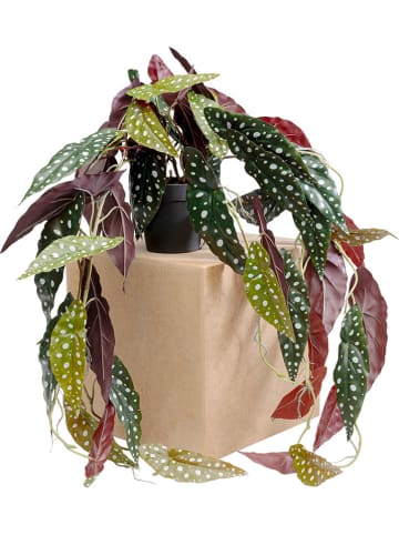 Kare Dekoracyjna roślina "Begonia" w kolorze zielono-beżowym - wys. 45 cm