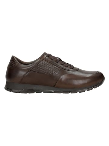Wojas Leder-Sneakers in Braun