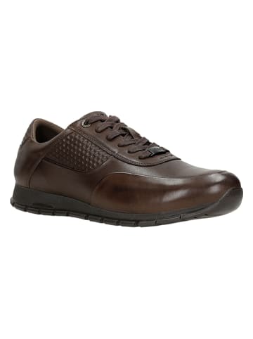 Wojas Leder-Sneakers in Braun