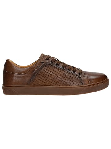 Wojas Leren sneakers bruin