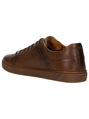Wojas Leren sneakers bruin