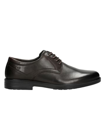 Wojas Leder-Schnürschuhe in Braun