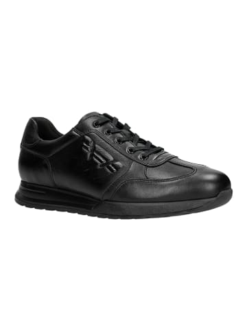Wojas Leren sneakers zwart