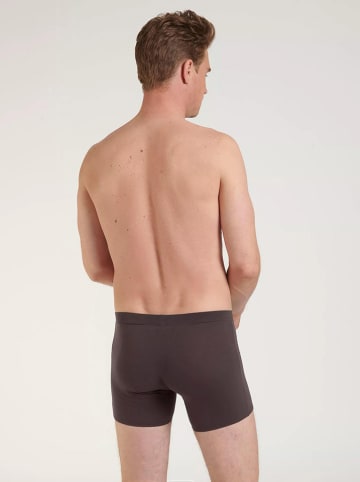 Sloggi 4-delige set: boxershorts antraciet/rood/oranje