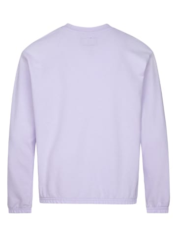 Converse Sweatshirt in Lila