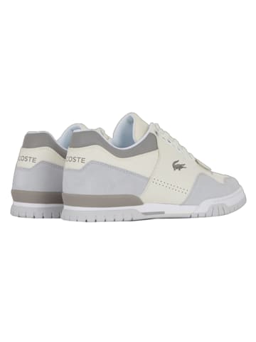 Lacoste Leder-Sneakers in Grau/ Creme