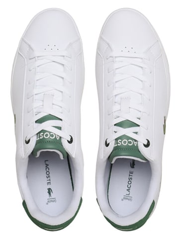 Lacoste Leder-Sneakers in Weiß/ Grün