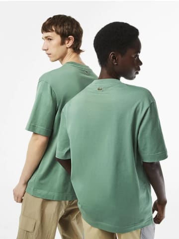 Lacoste Shirt in Grün