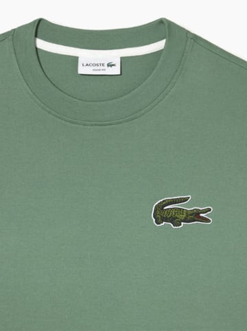 Lacoste Shirt in Grün