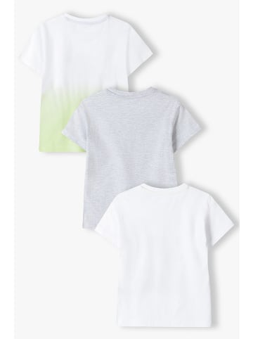 Minoti 3er-Set: Shirts in Weiß/ Grau