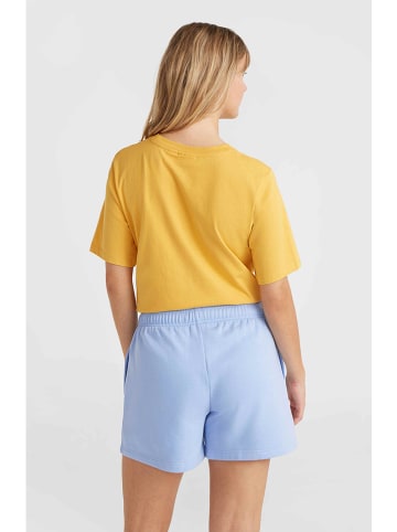 O'Neill Short "Future Surf Society" lichtblauw