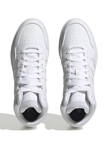 adidas Sneakers "Hoops 3.0" wit