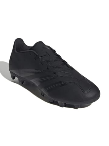 adidas Buty "Predator Club" w kolorze czarnym do piłki nożnej
