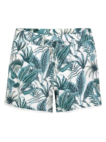 Fresh Made Short wit/groen